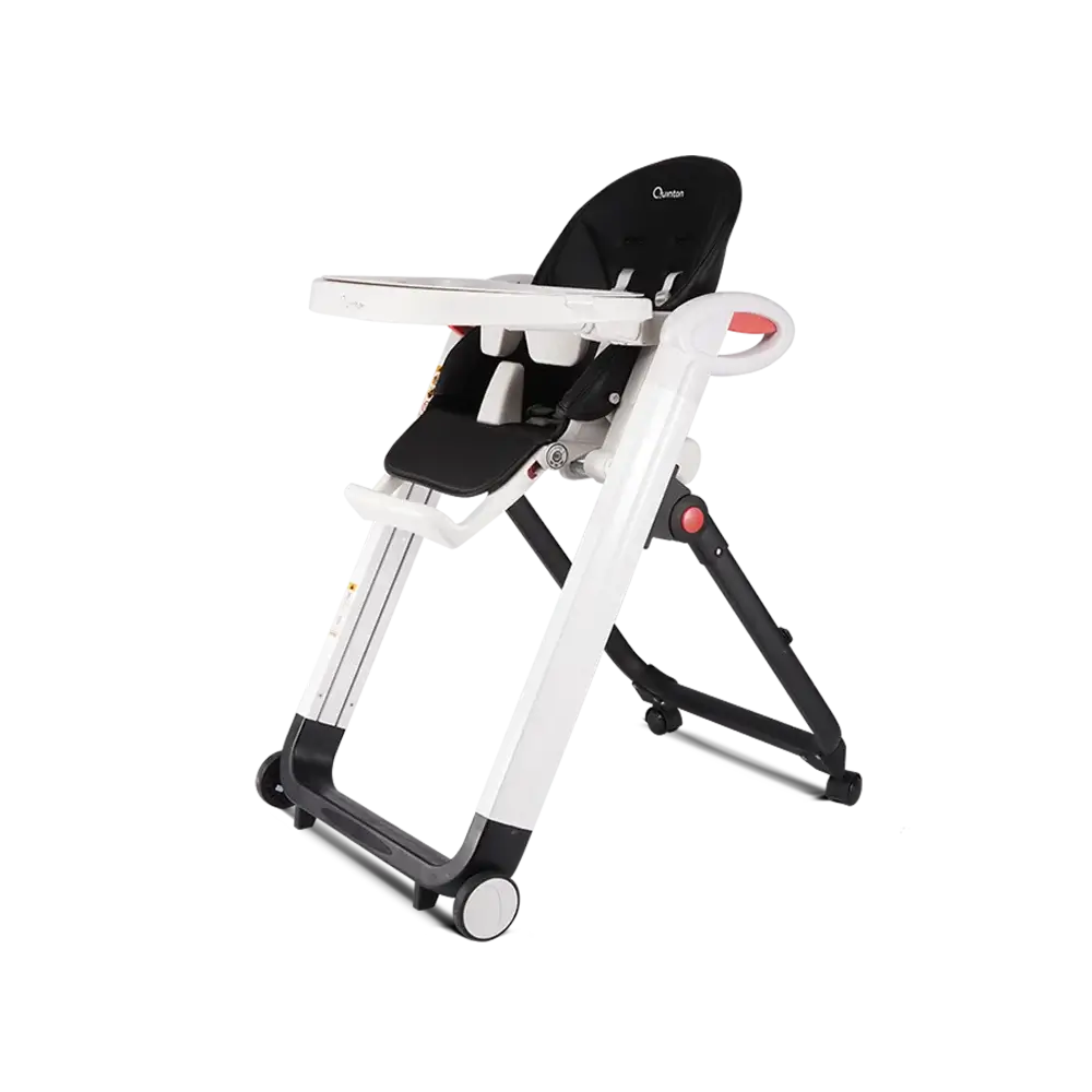 Quinton Go Berry Best Multifunction High Chair