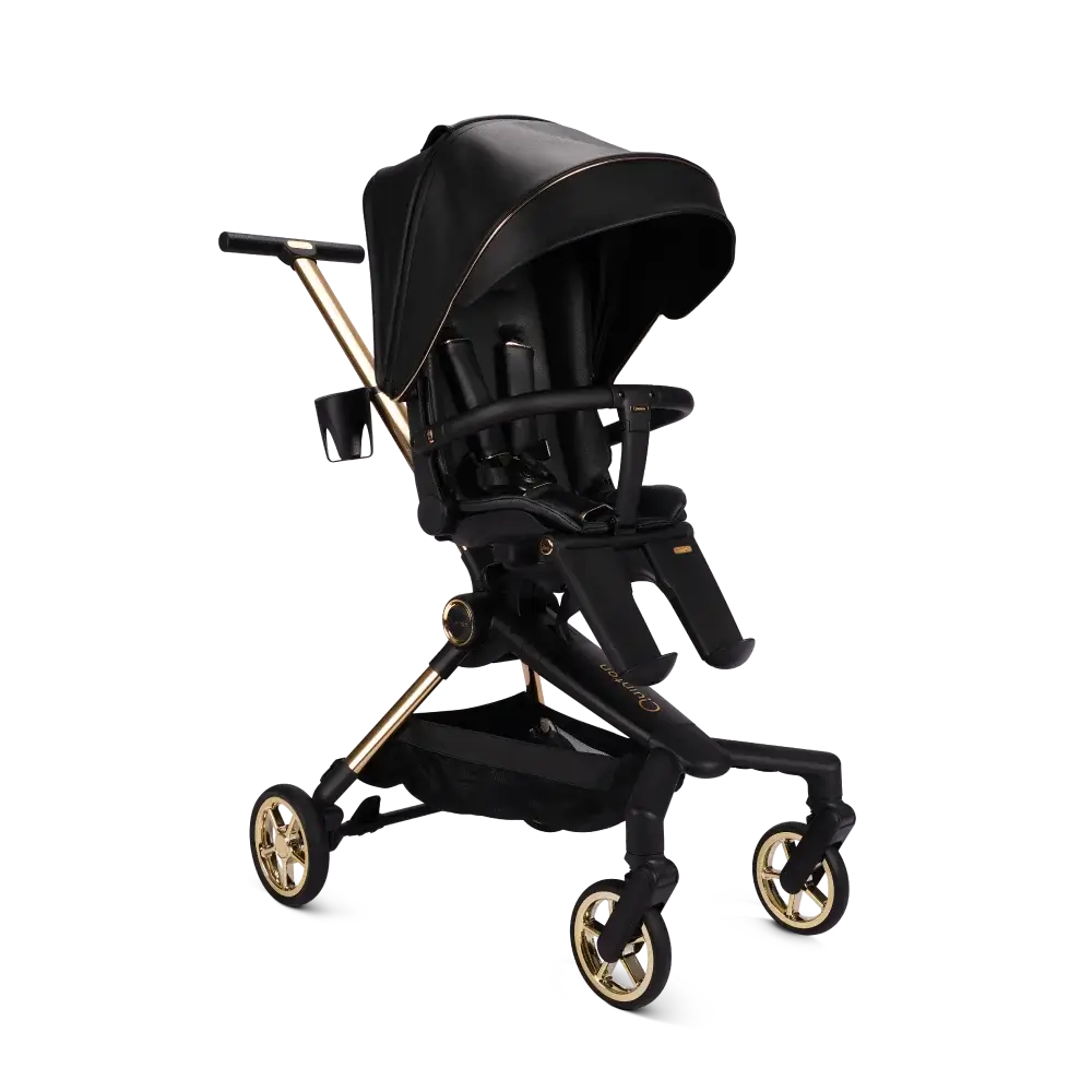 Quinton Citi 360 Seat Reversing Stroller