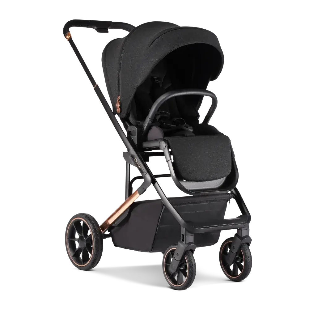 Quinton Nior Two-Way Facing Stroller