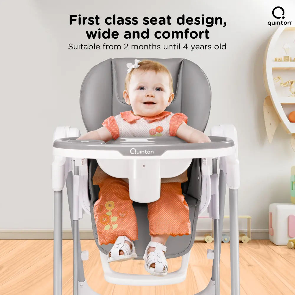 Pali 2 in 1 Swing High Chair catalog image 3
