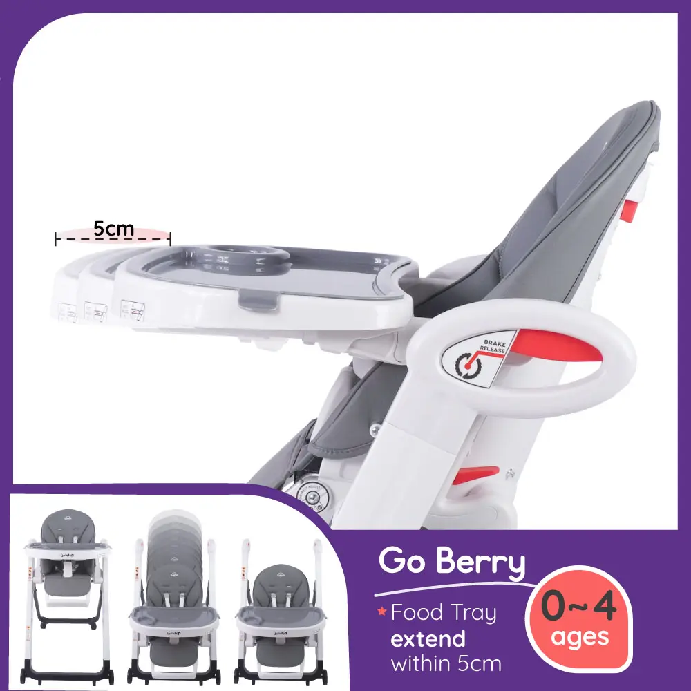 Go Berry catalog image 7