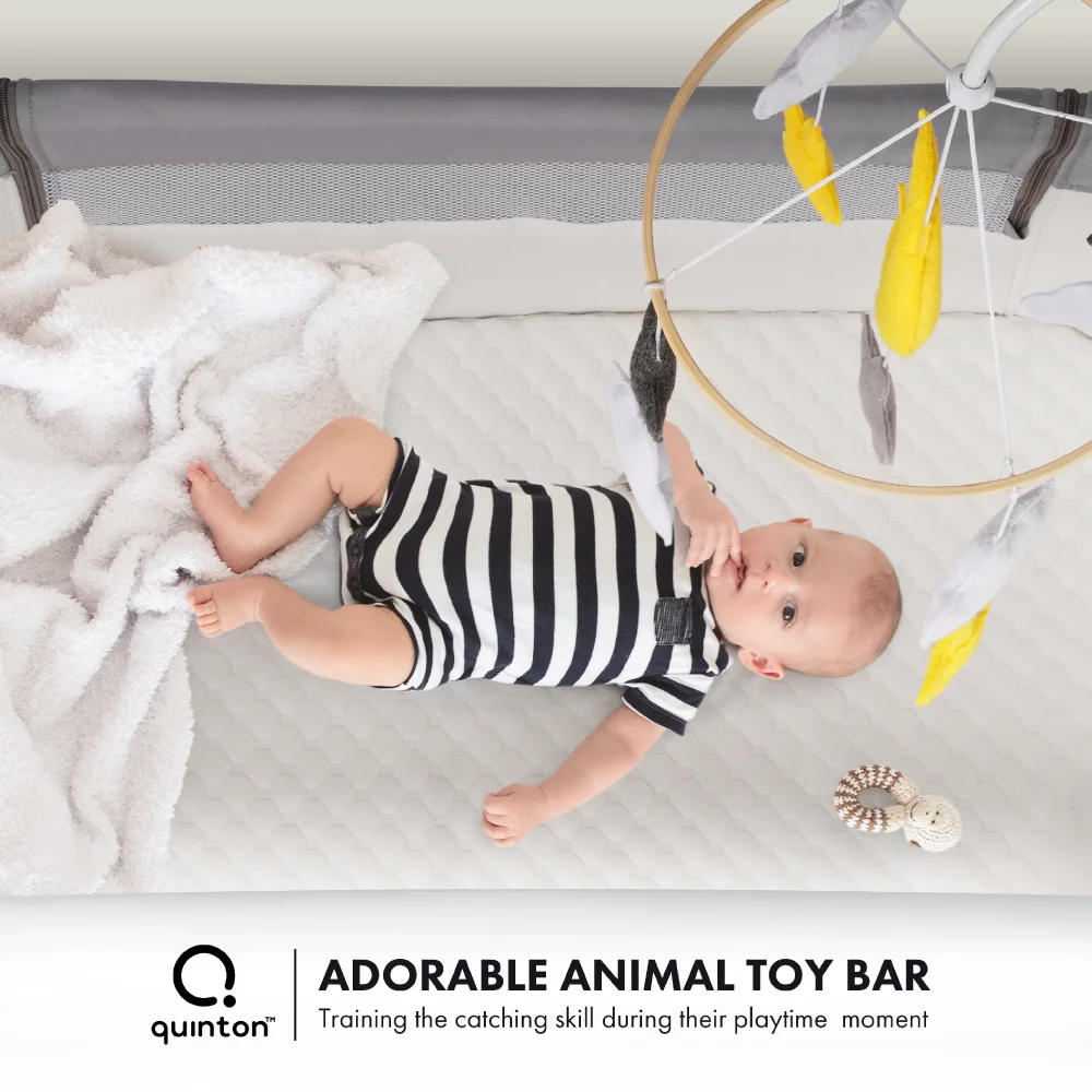Quinton Dream2Gether Co-Sleeping Crib catalog image 3