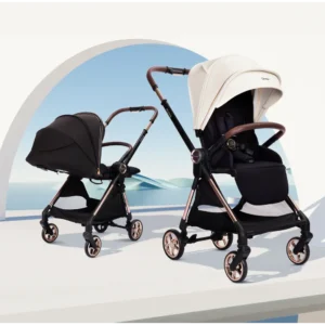 luxury-2-way-stroller-malaysia