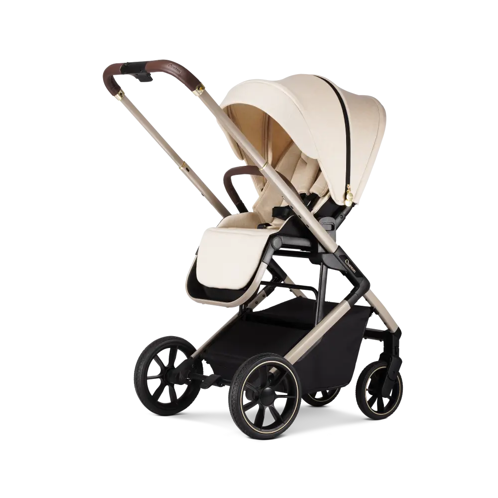 Best-Strollers-and-Car-Seats-Malaysia